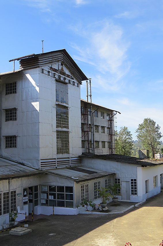 kerala tea factory